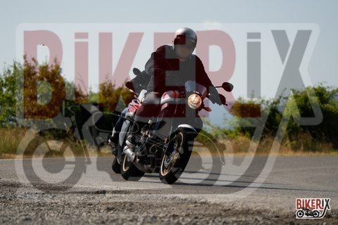 Passo della Futa T 20-07-25 h09-51 0298