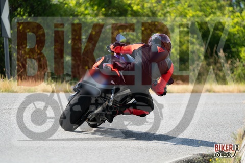 Passo della Futa T 20-07-25 h09-57 0352