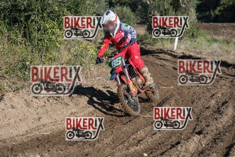 Vada 11-01-26 h10-33 0044