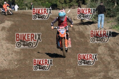 Vada 11-01-26 h11-41 0166