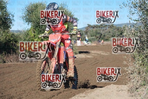 Vada 11-01-26 h12-04 0248