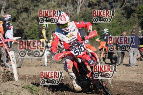 Vada 11-01-26 h12-15 0348