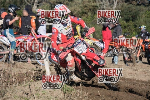 Vada 11-01-26 h12-15 0350