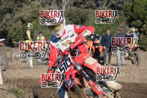 Vada 11-01-26 h12-15 0351