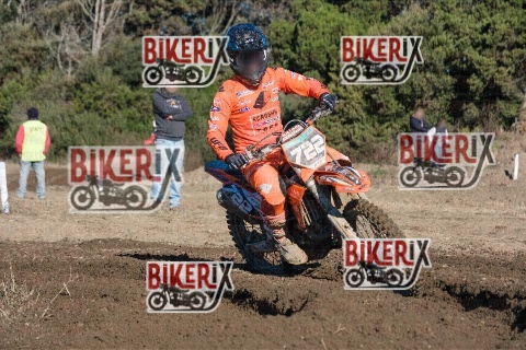 Vada 11-01-26 h12-16 0362