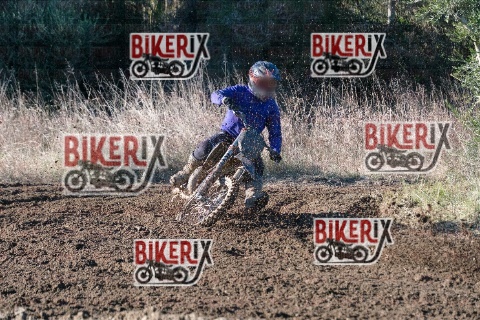 Vada 11-01-26 h13-39 0385