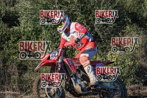 Vada 11-01-26 h13-57 0565