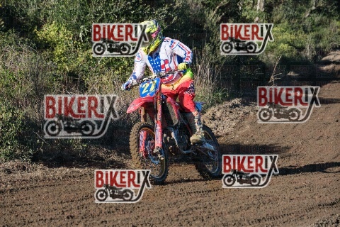 Vada 11-01-26 h13-58 0595