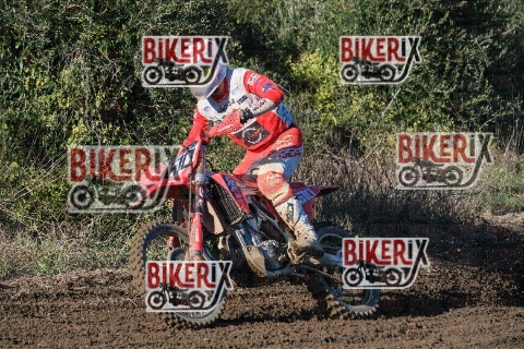 Vada 11-01-26 h13-58 0611