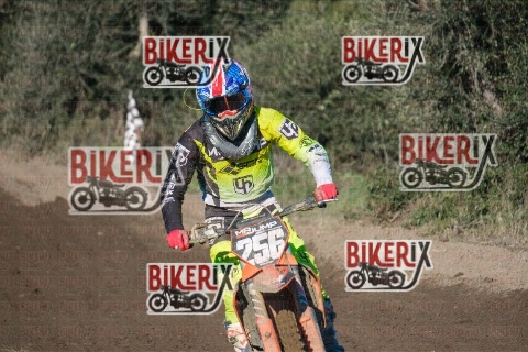 Vada 11-01-26 h14-01 0671