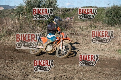 Vada 11-01-26 h14-17 0772