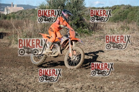 Vada 11-01-26 h14-17 0773