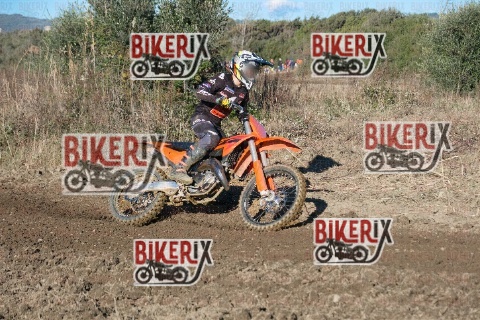 Vada 11-01-26 h14-18 0775