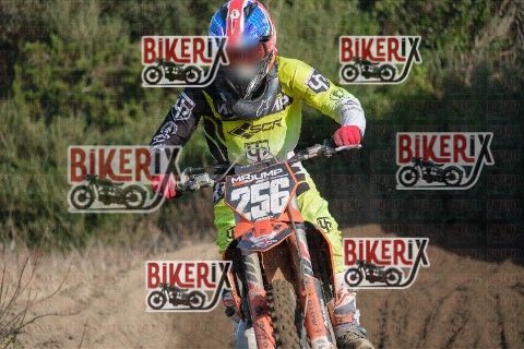 Vada 17-01-26 h11-02 0165