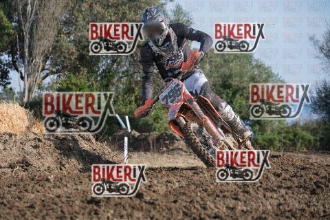 Vada 17-01-26 h11-04 0174