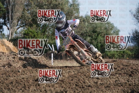 Vada 17-01-26 h11-04 0177