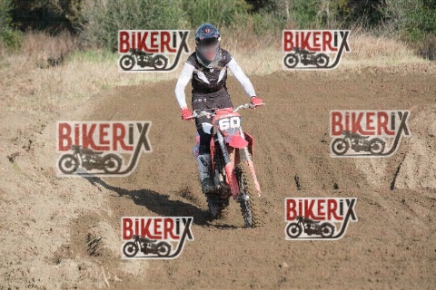 Vada 17-01-26 h11-06 0185