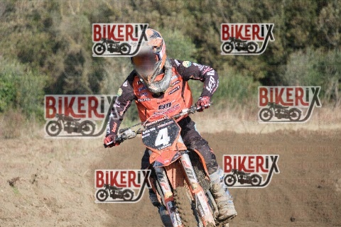 Vada 17-01-26 h11-07 0190