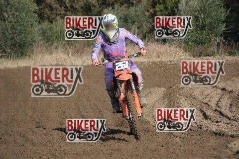 Vada 17-01-26 h11-07 0194