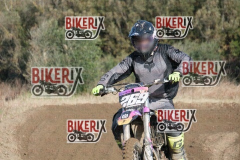 Vada 17-01-26 h11-07 0198