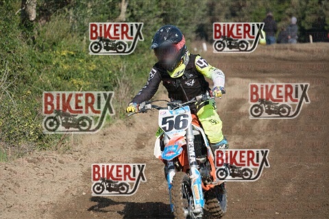 Vada 17-01-26 h11-24 0237