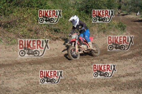 Vada 17-01-26 h11-36 0256