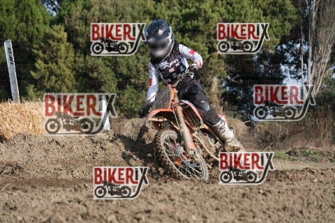 Vada 17-01-26 h12-07 0313