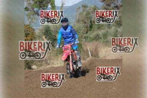 Vada 17-01-26 h12-16 0373