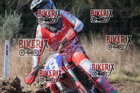 Vada 17-01-26 h12-18 0381