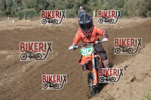 Vada 17-01-26 h12-24 0411