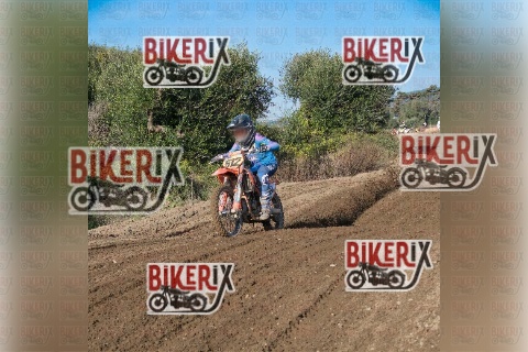 Vada 17-01-26 h12-25 0416