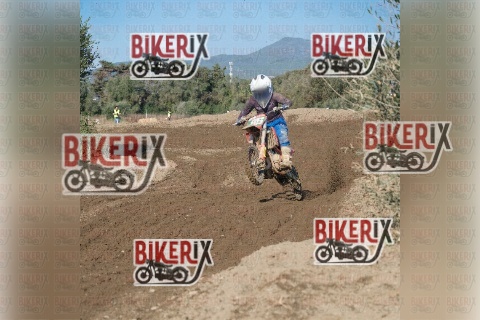 Vada 17-01-26 h12-26 0419