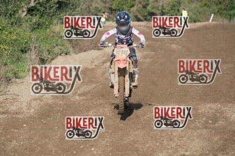 Vada 17-01-26 h12-30 0433